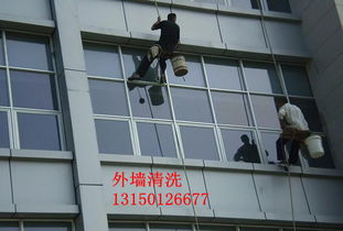慶陽雅潔居家政保潔——專業保潔，品質之選